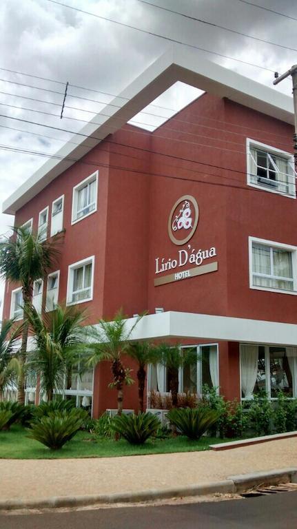 Lirio D'agua